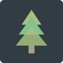 Everforest Night